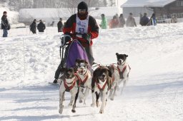 Lenk 2012 SM